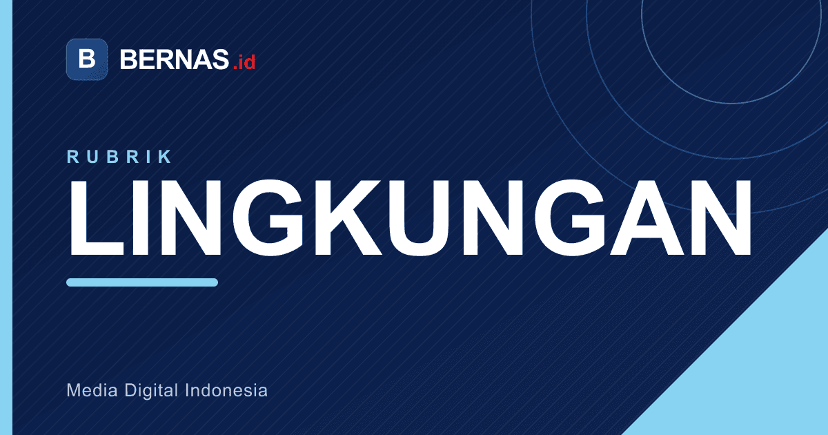 8 Bos Sawit RI Dipanggil Singapura untuk Penilaian Karhutla