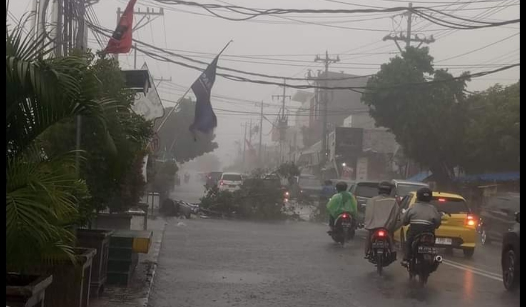 Ilustrasi pohon tumbang karena angin di kawasan Wirobrajan Jogja - (foto: ist)