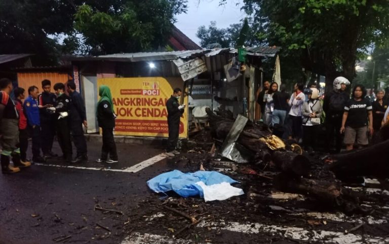 Perempuan penjual angkringan tewas tertimpa pohon tumbang di di depan angkringan Pojok Cendana Jalan Cendana, Selasa (21/1/2025) sore - (foto: ist)